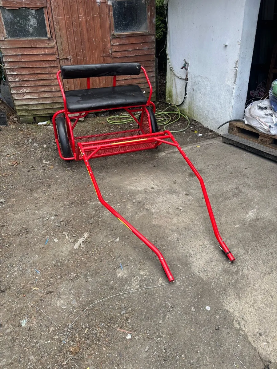 Pony size road cart - Image 1