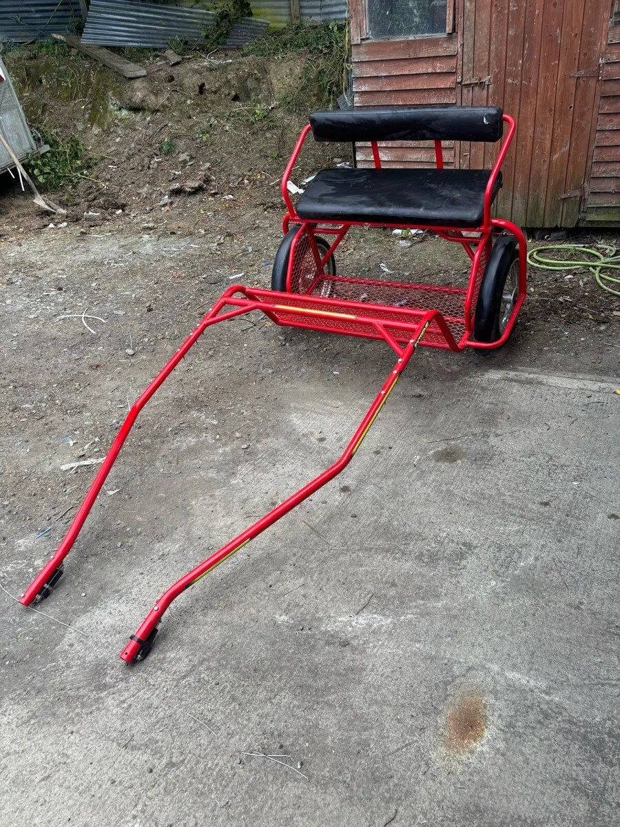 Pony size road cart - Image 2