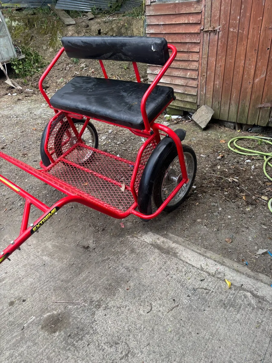 Pony size road cart - Image 3