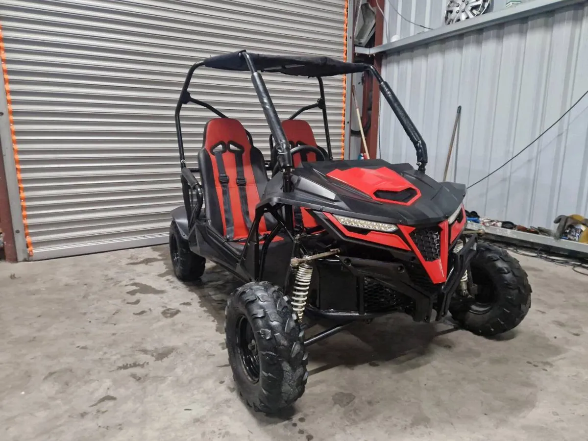 210cc adult and teenagers size buggy. 2 years old. - Image 1