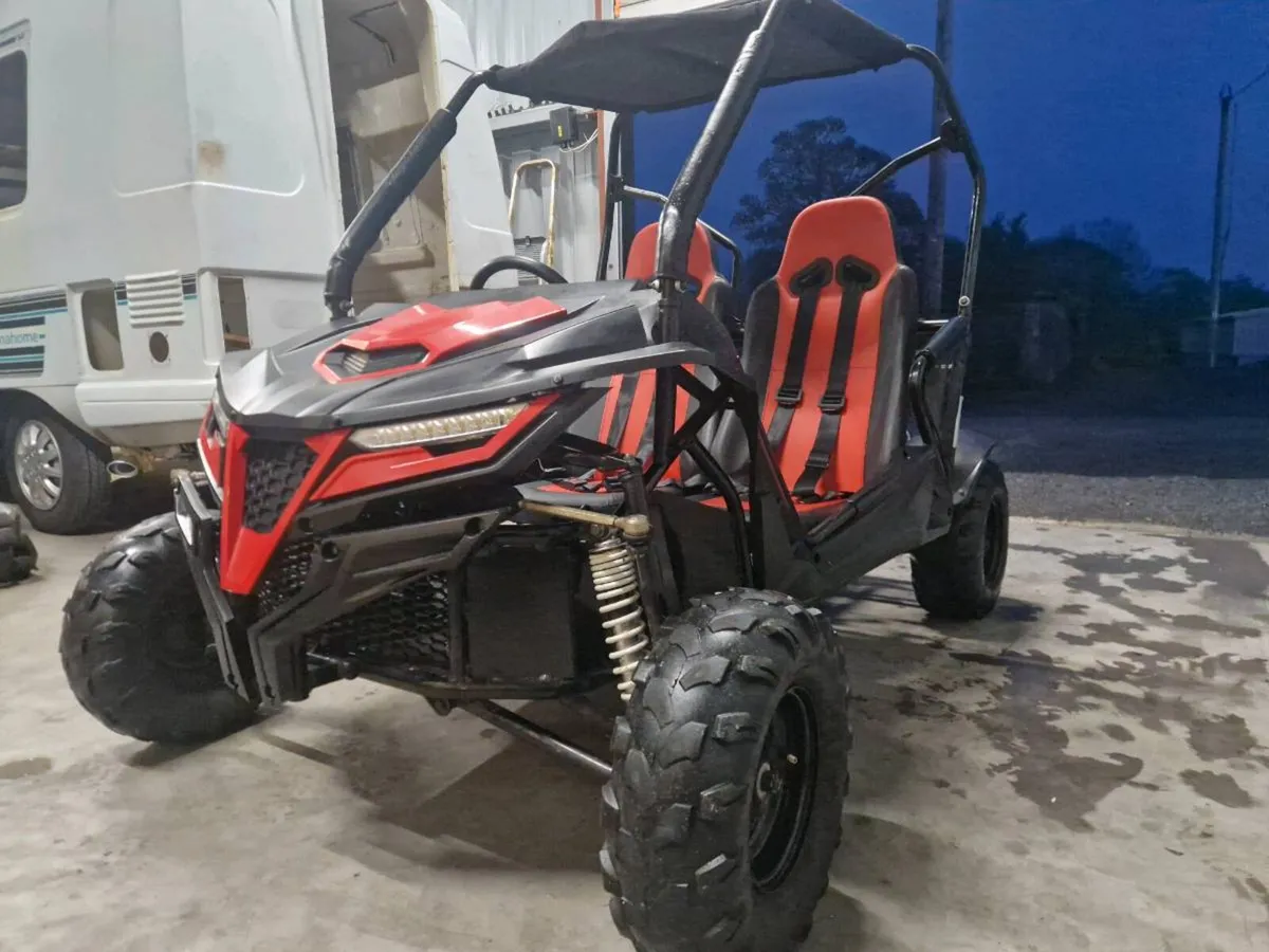 210cc adult and teenagers size buggy. 2 years old. - Image 2