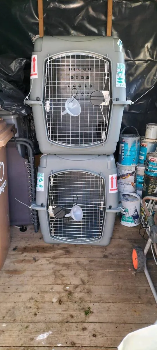 Pet Crate / Kennel IATA approved - Image 1