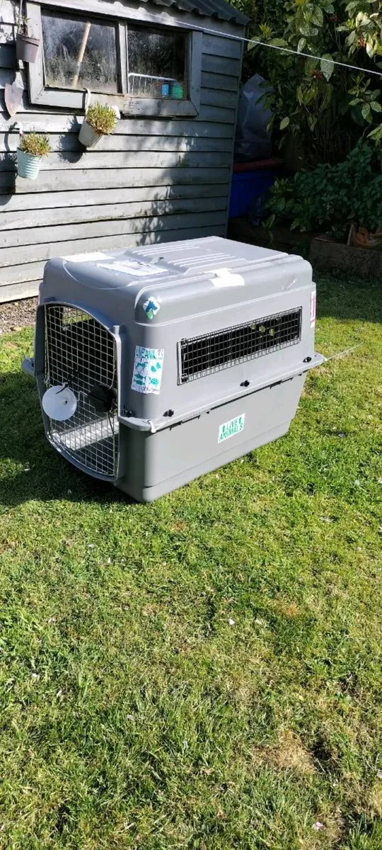 Pet Crate / Kennel IATA approved - Image 4