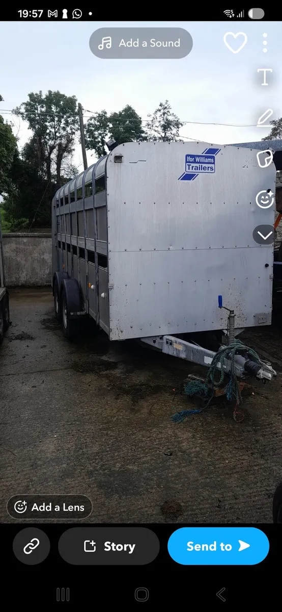 14ft Ifor Williams - Image 2