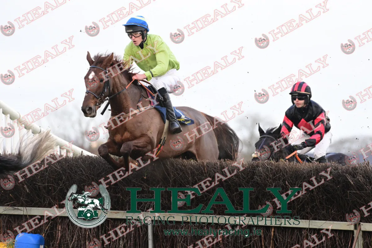 P2P Mare suitable for novice /broodmare