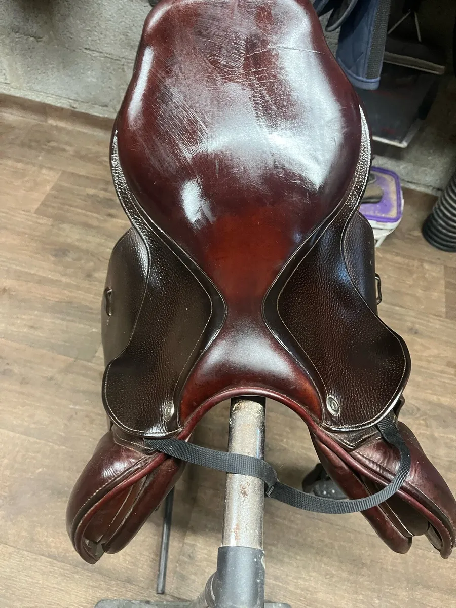 CWD - Image 3