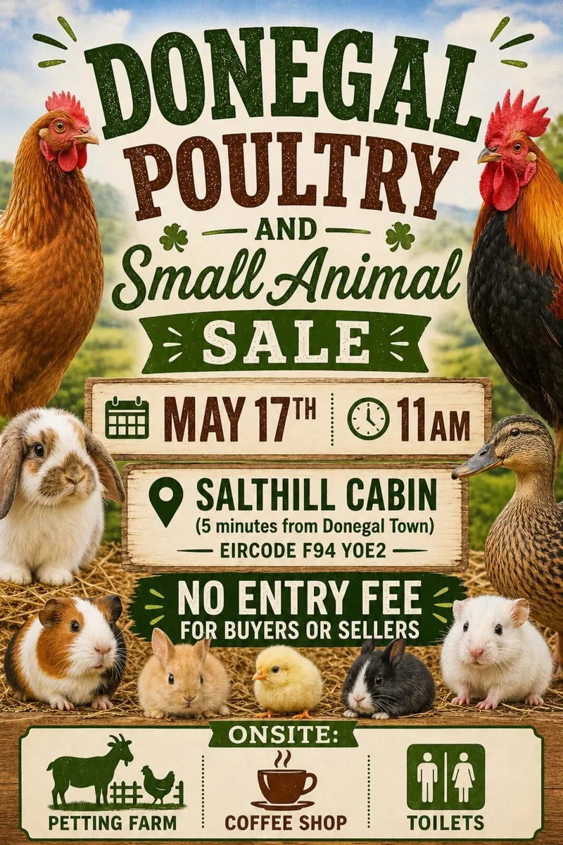 Donegal Poultry Sale