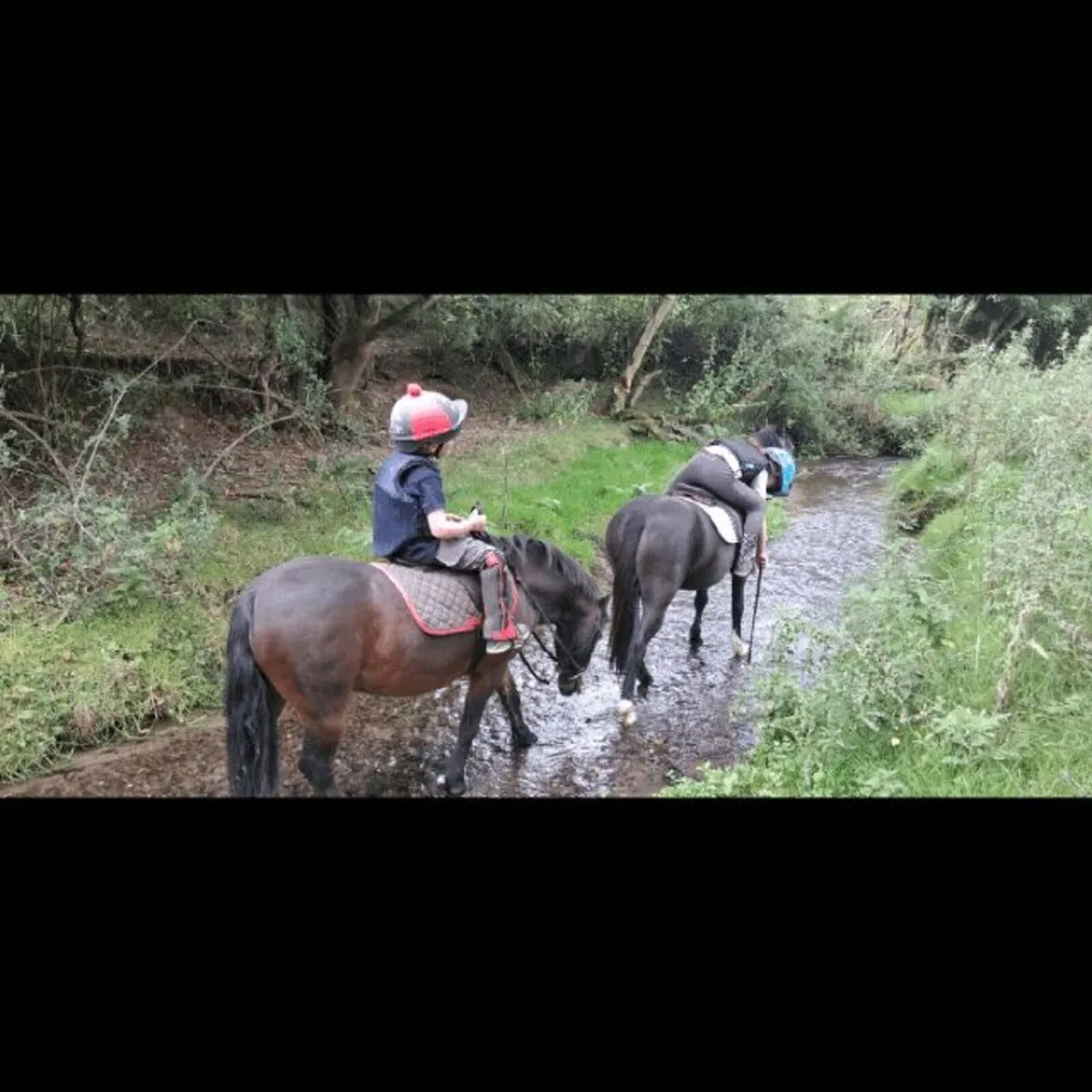 Child's pony - Image 2