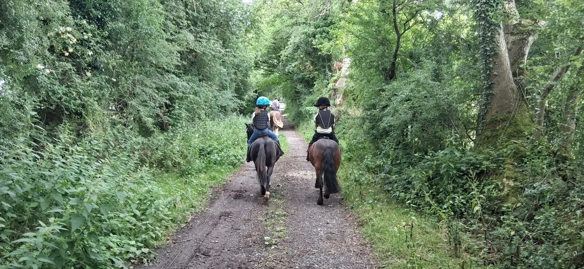 Child's pony - Image 1