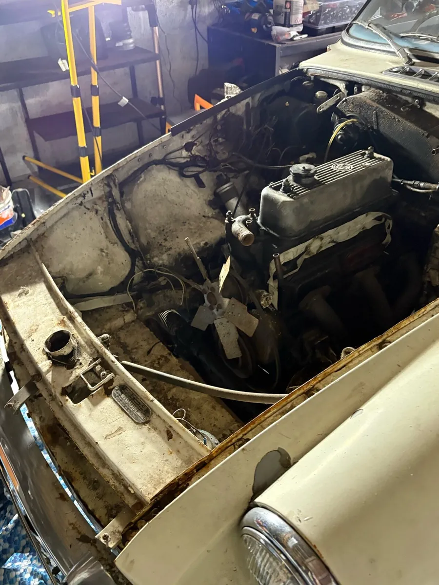 MGB GT - Image 3
