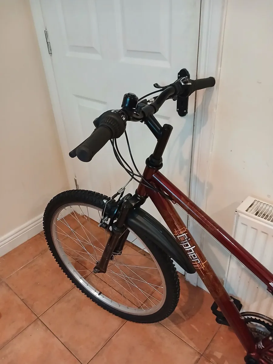 Bicycle - Image 4