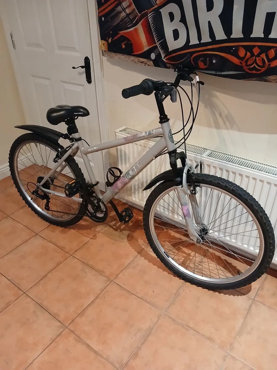 Bicycle - Image 1