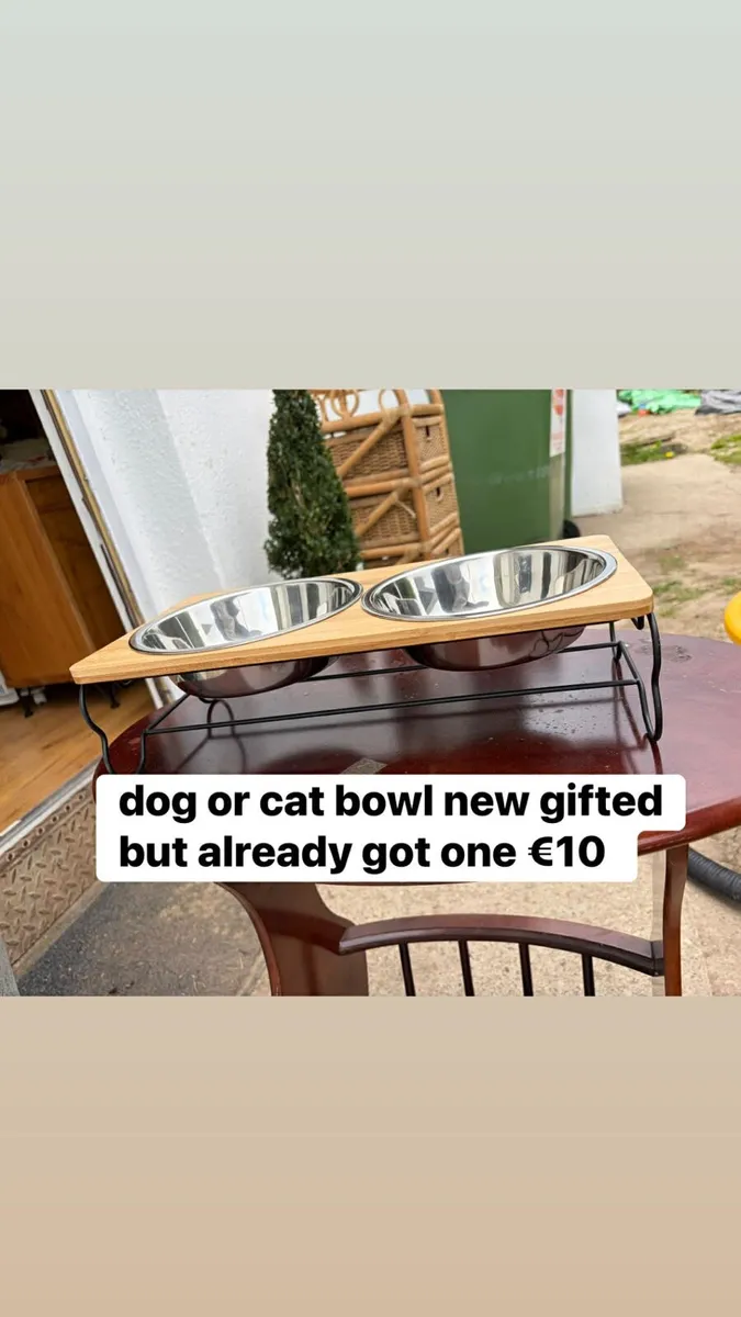 Dog cat bowl new €10 - Image 1
