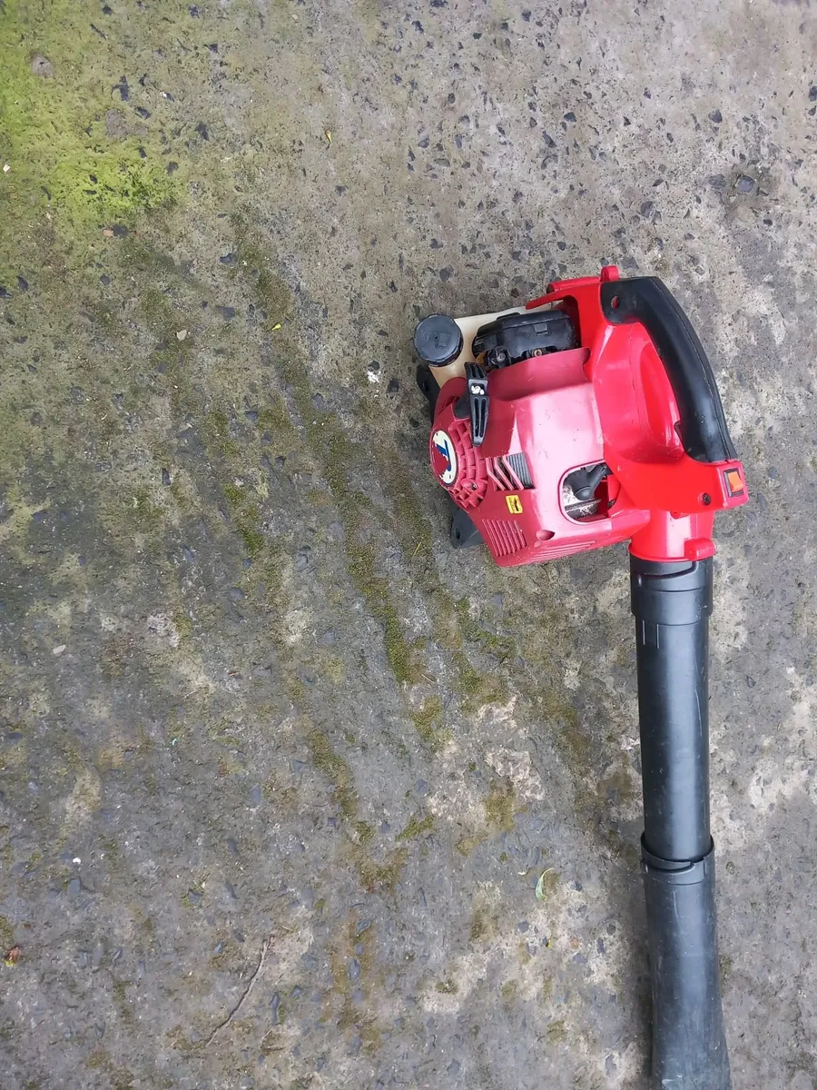 Blower - Image 1