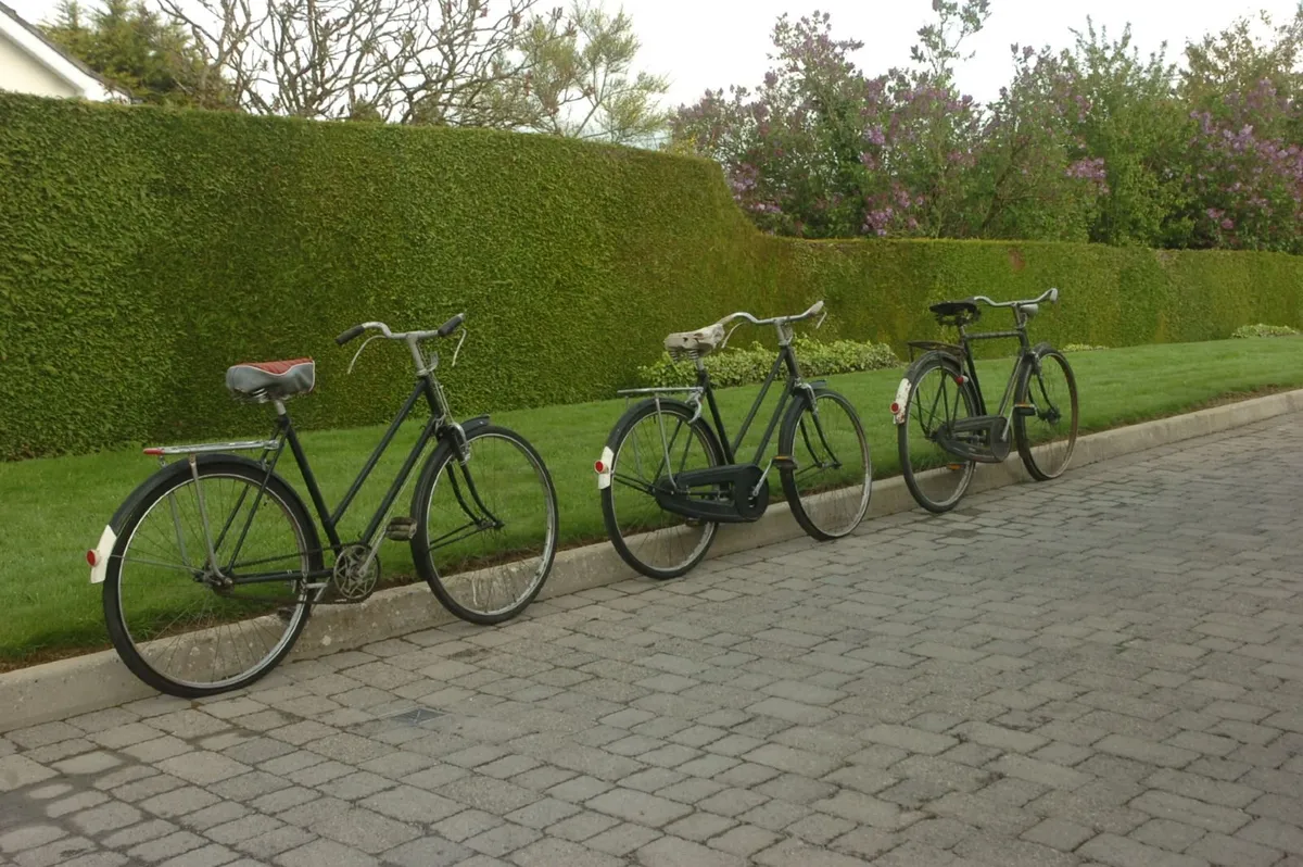 high nelly bicycles - Image 1