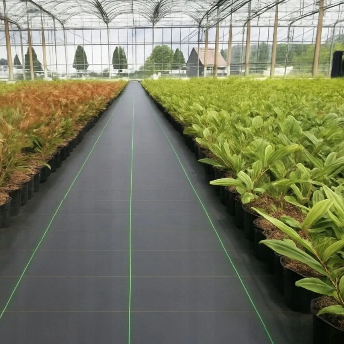 2.2m Mypex  135g Weed Control Fabric 50m FREE pegs - Image 3