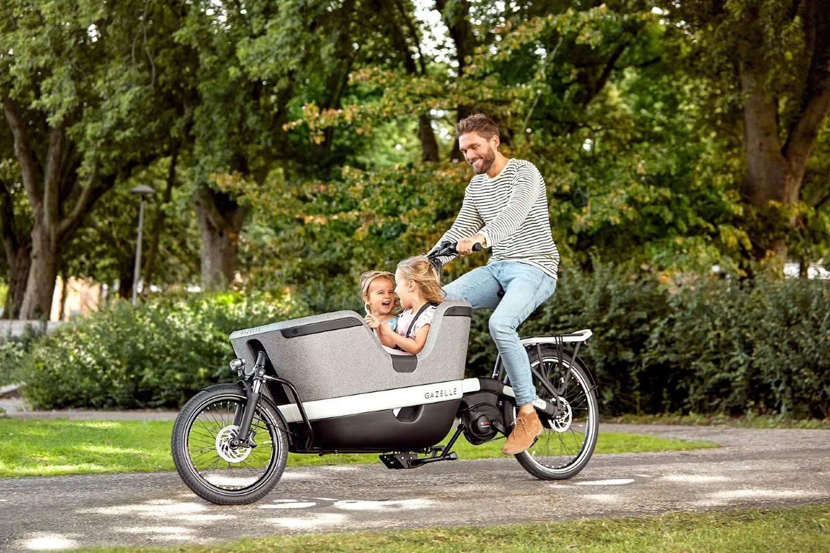 Gazelle Maxi Load L 26SE  (Demo Bike) - Image 2
