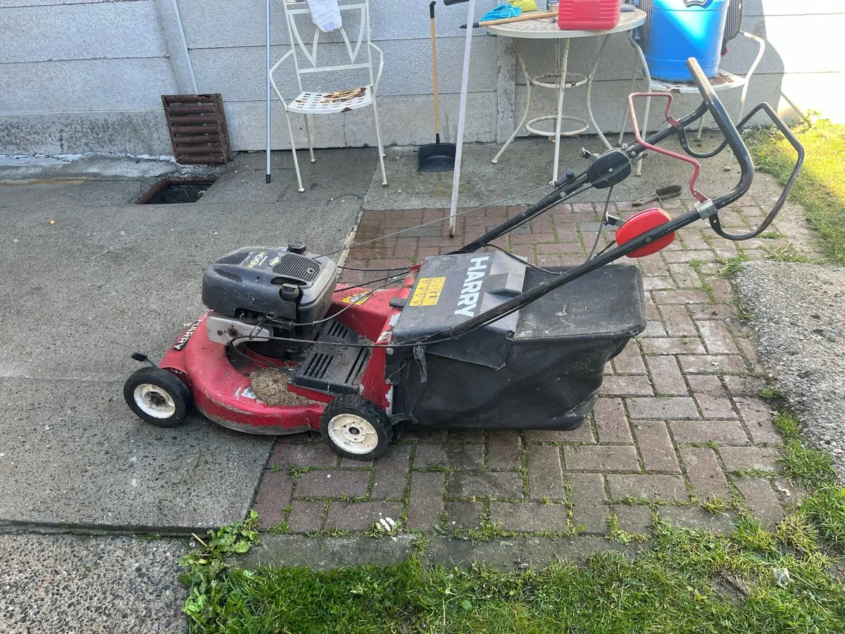 Harry lawnmower - Image 4