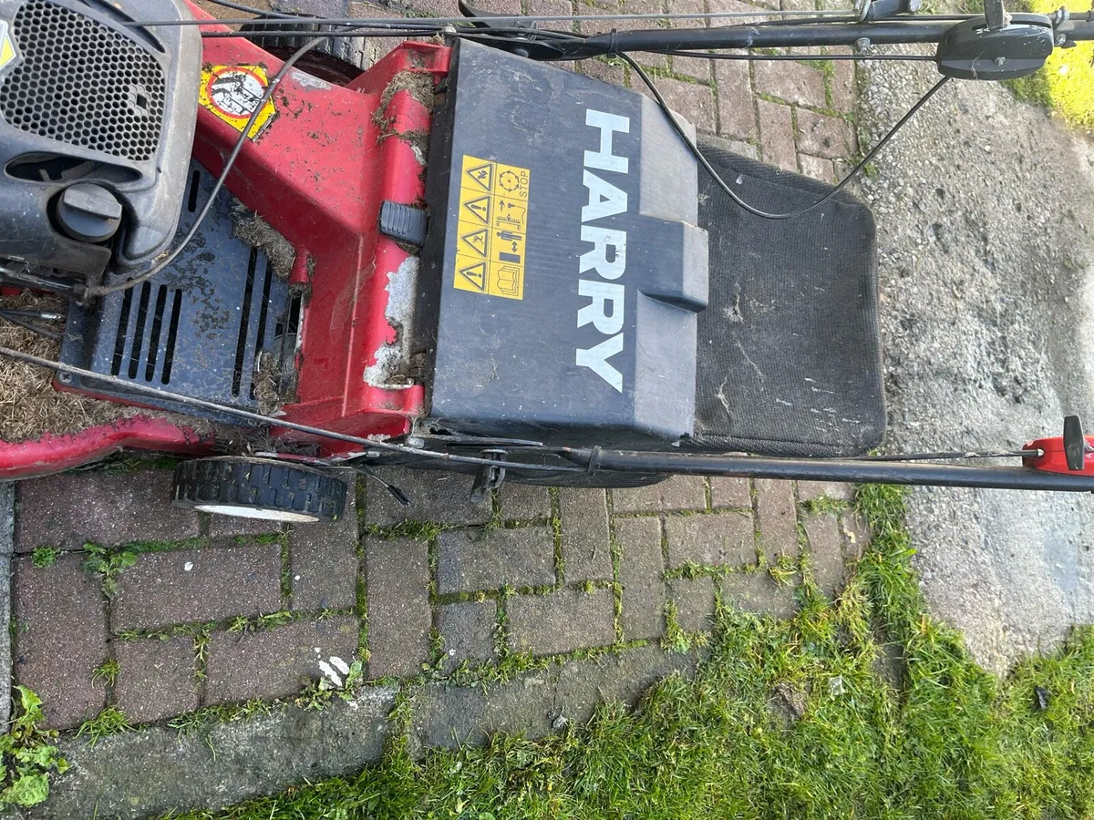 Harry lawnmower - Image 2
