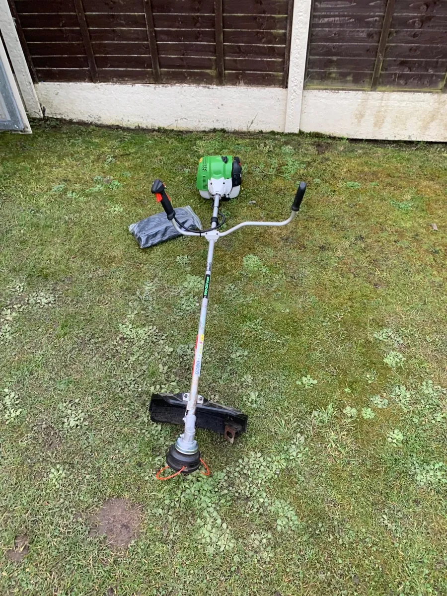 Strimmer - Image 2