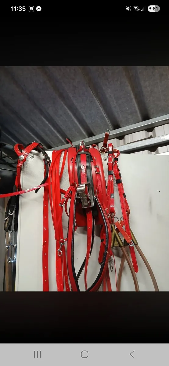 Yonnies harness &jacks hobbles - Image 1