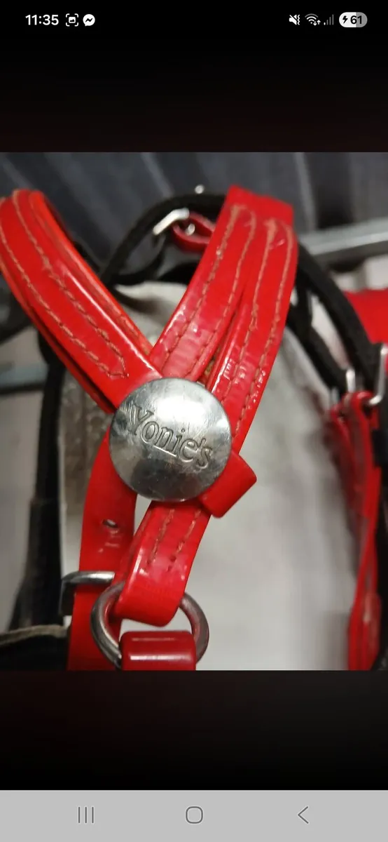Yonnies harness &jacks hobbles - Image 2