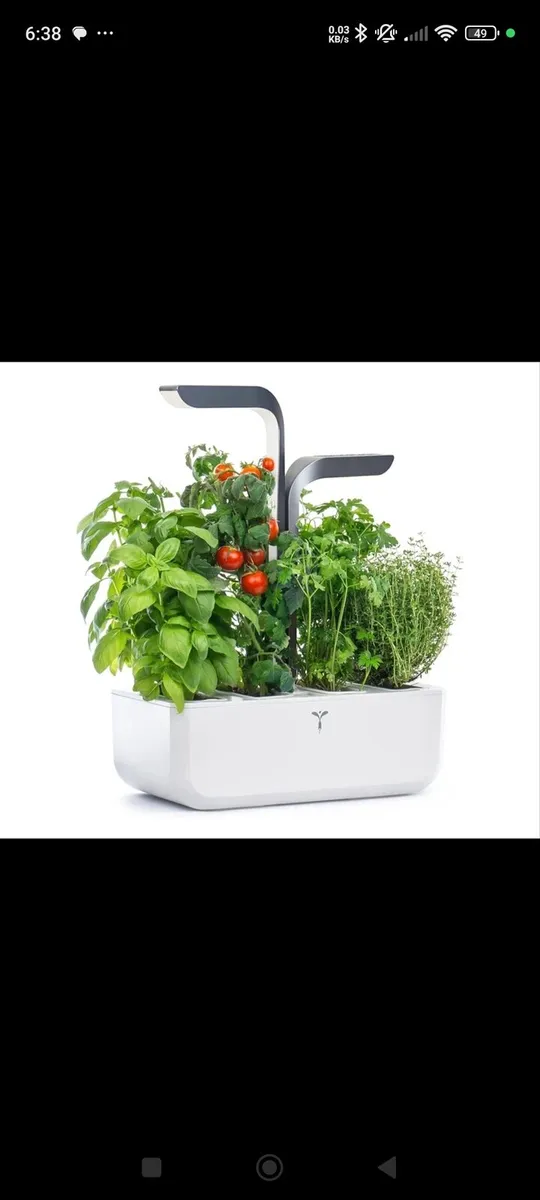 Indoor herb garden