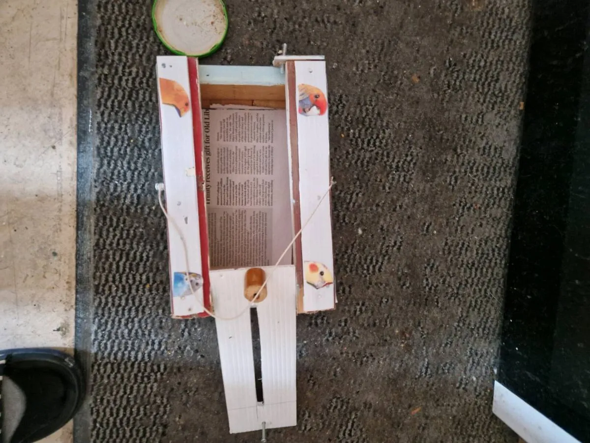 Bird transport cages - Image 3
