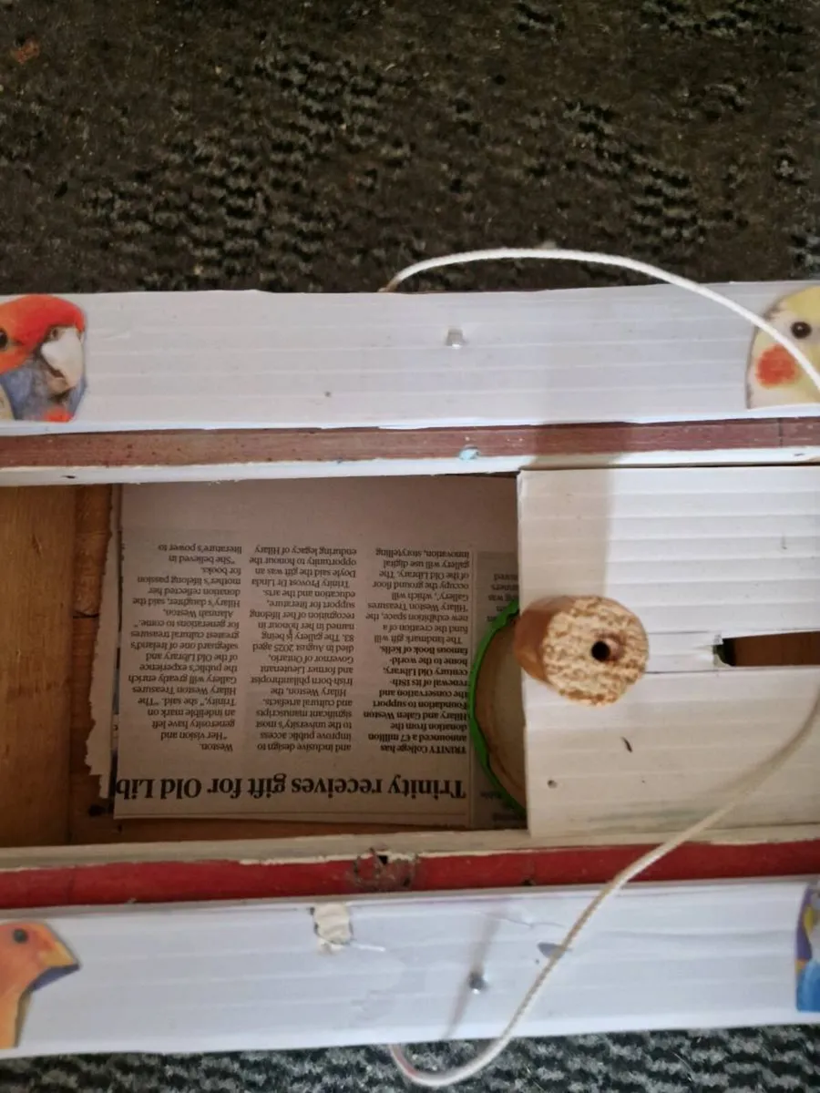 Bird transport cages - Image 4