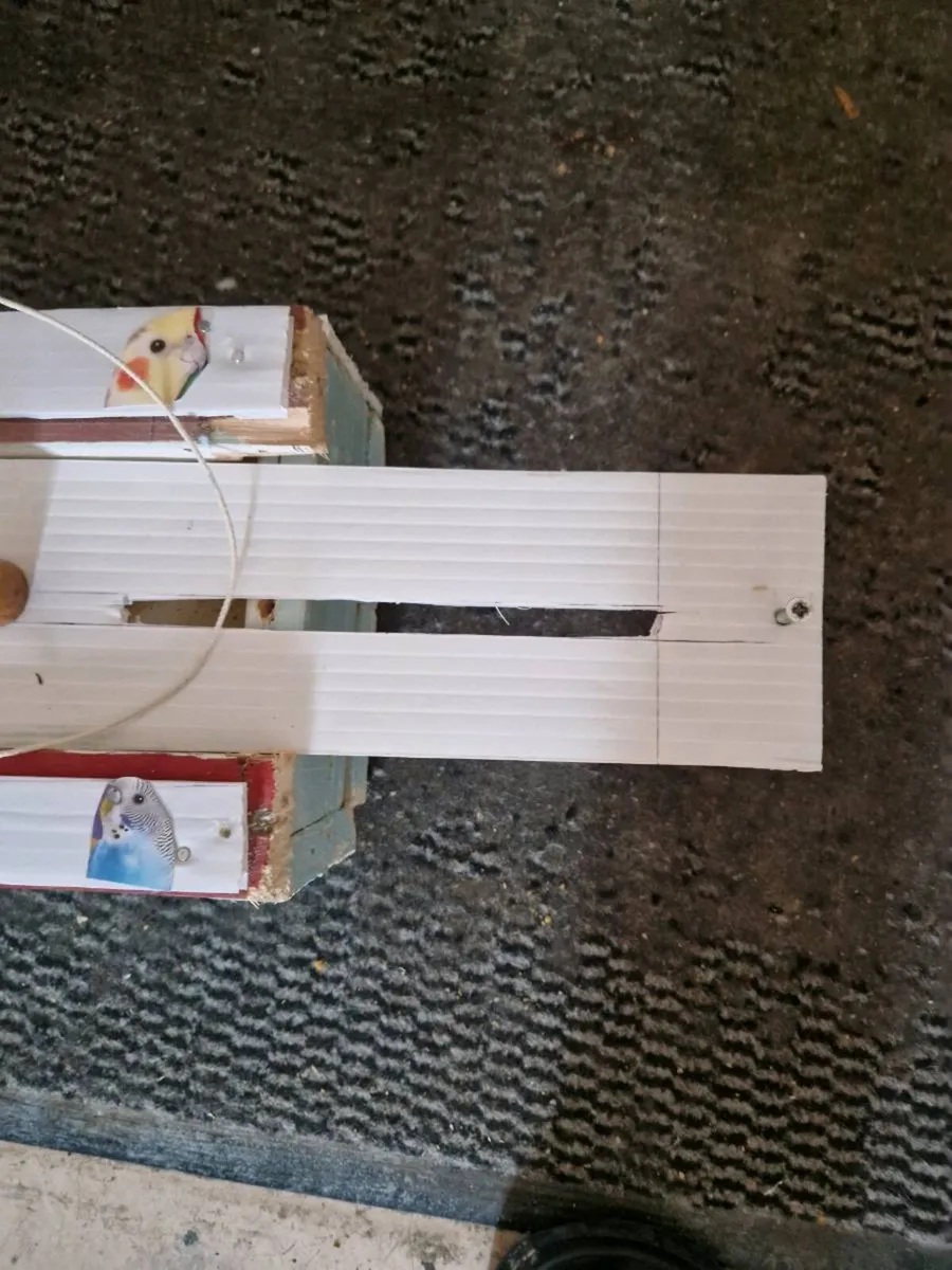 Bird transport cages - Image 2