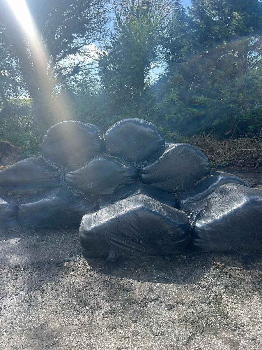 Silage - Image 1