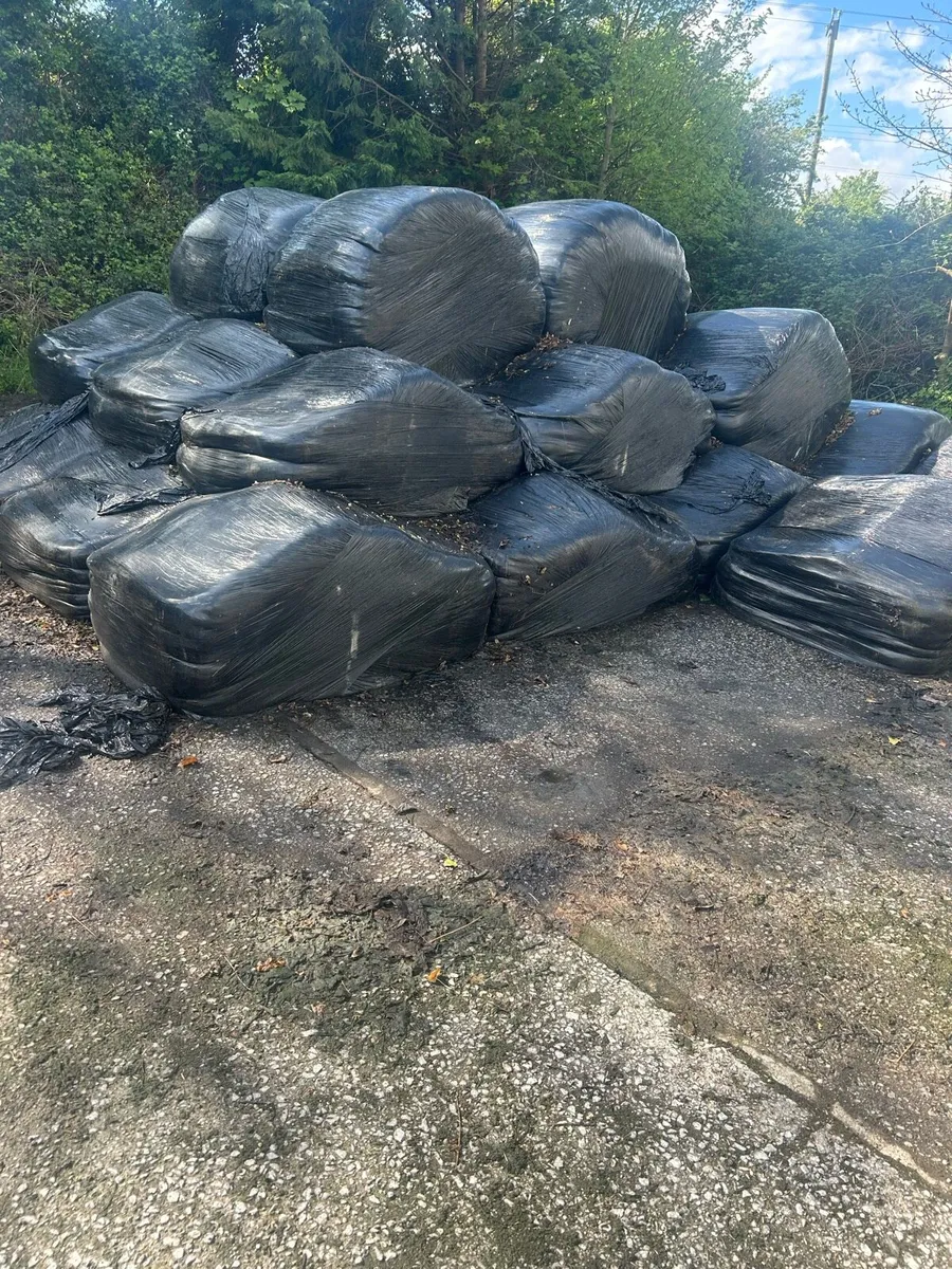 Silage - Image 2