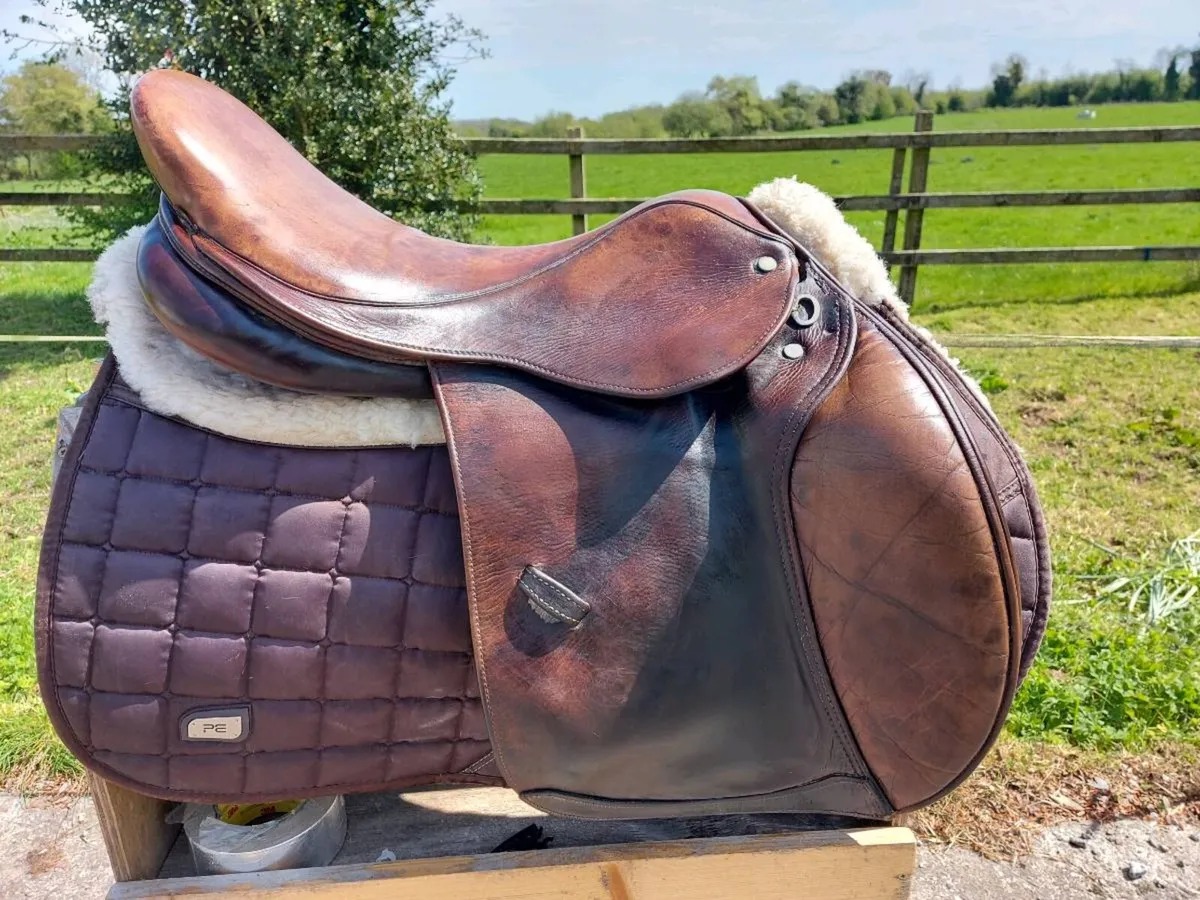 Marcel toulouse saddle - Image 4