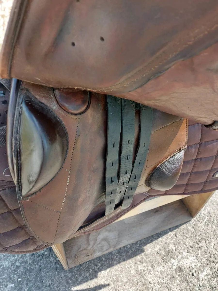 Marcel toulouse saddle - Image 2
