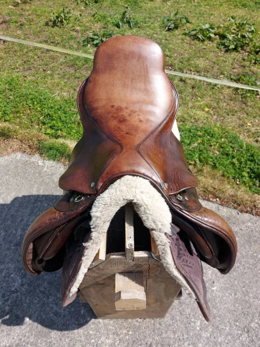 Marcel toulouse saddle - Image 3