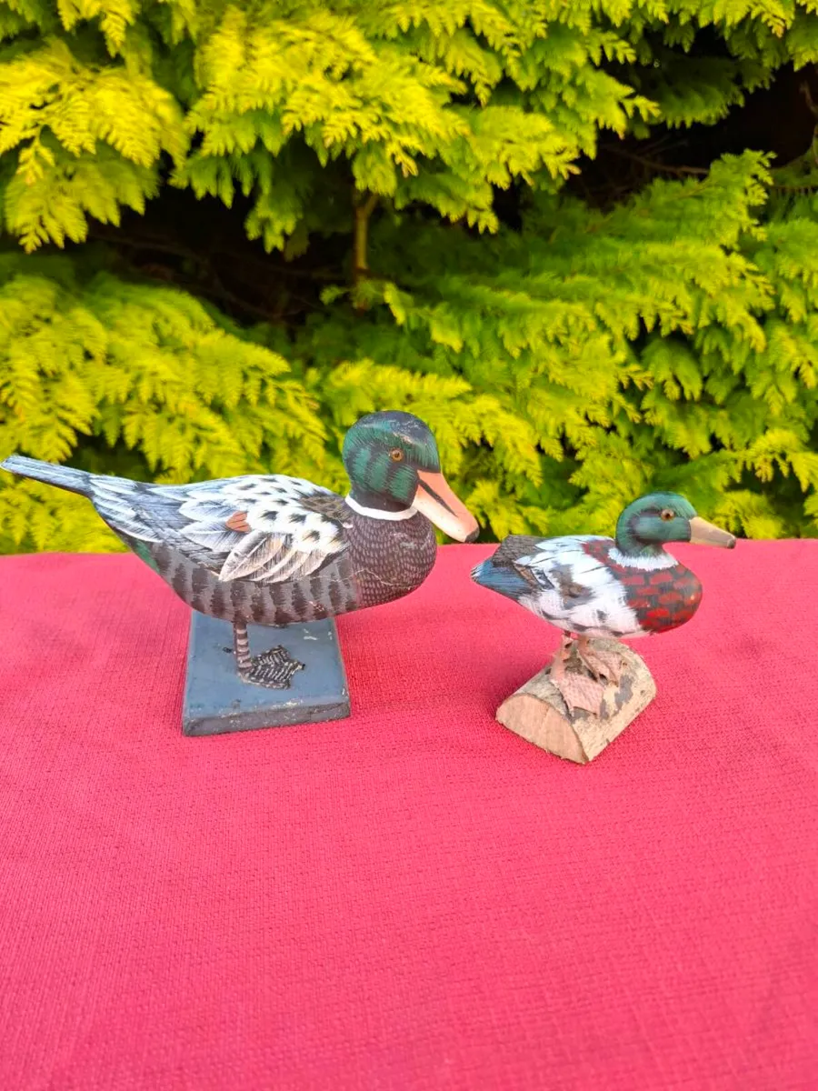 2 wood duck ornament