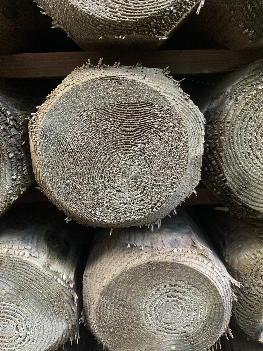 Octopost Fencing Stakes - Image 4