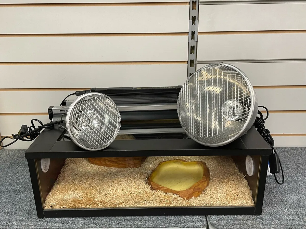 Animal tank + lights - Image 1