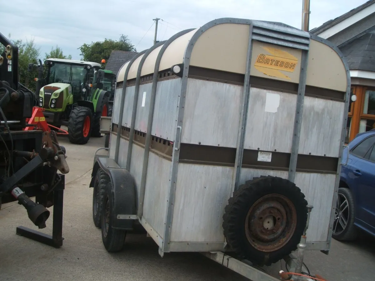 Bateson 10x5 cattle trailer - Image 3