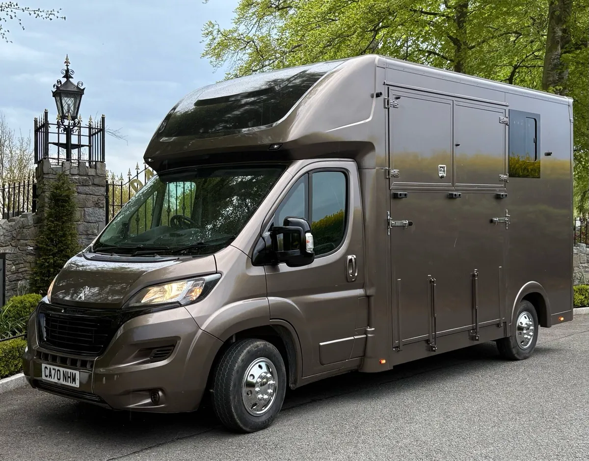 Peugeot Boxer 2020 luxurious 2 Horsebox - Image 2