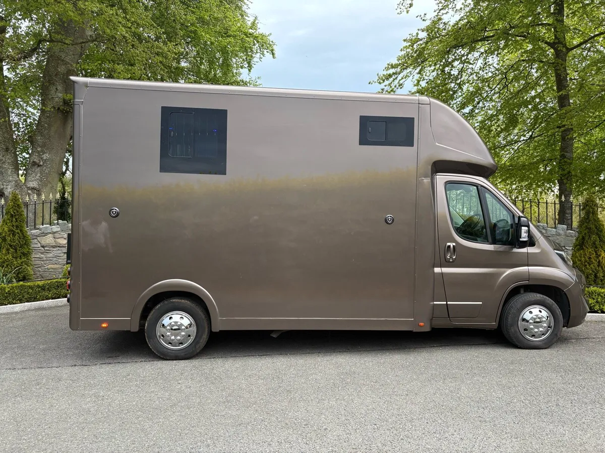 Peugeot Boxer 2020 luxurious 2 Horsebox - Image 4