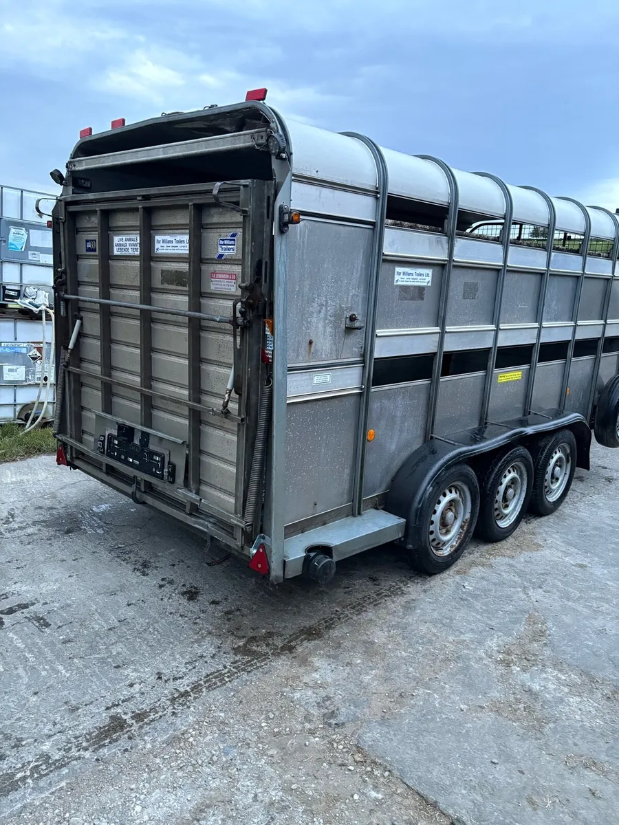 2018 Ifor Williams 14ft - Image 2