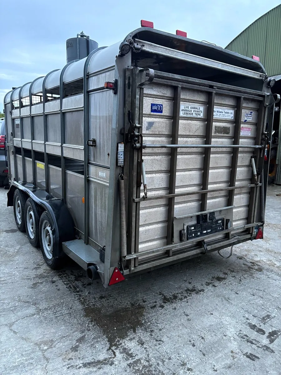 2018 Ifor Williams 14ft - Image 3