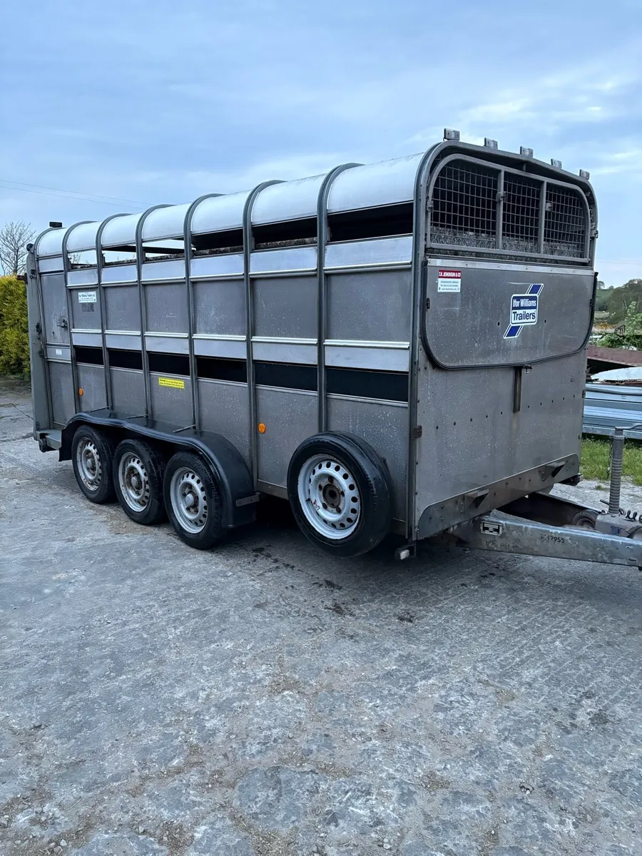 2018 Ifor Williams 14ft - Image 1