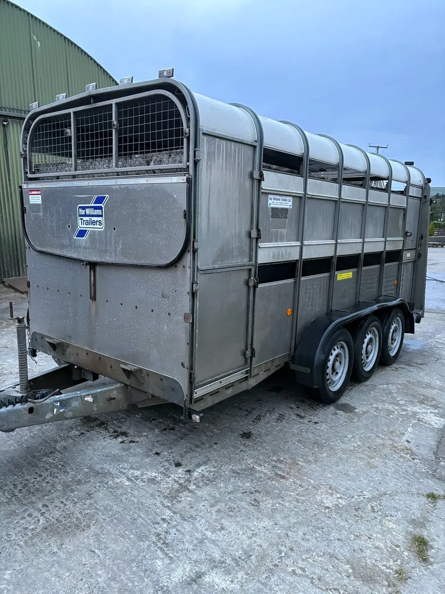 2018 Ifor Williams 14ft - Image 4