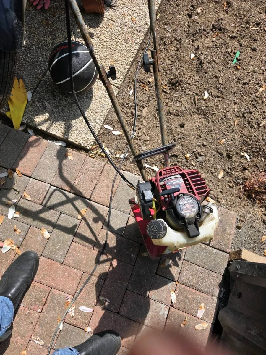 Mini tiller. Mantis. - Image 2