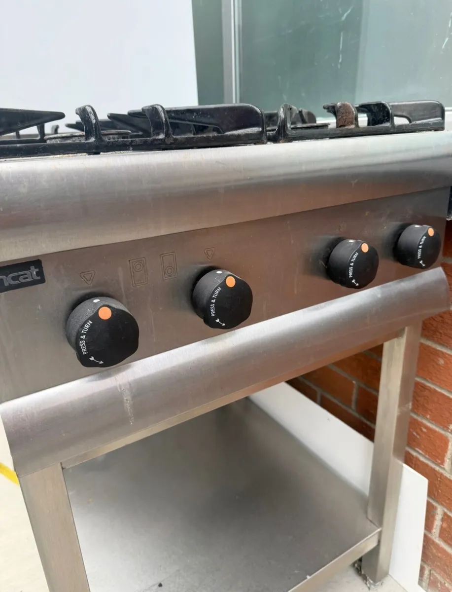 4 ring burner natural gas - Image 2
