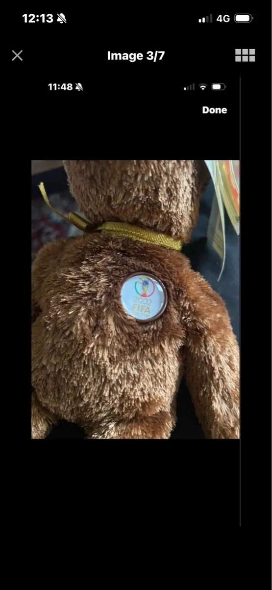 Rare & Retired Beanie- Champion - Image 3