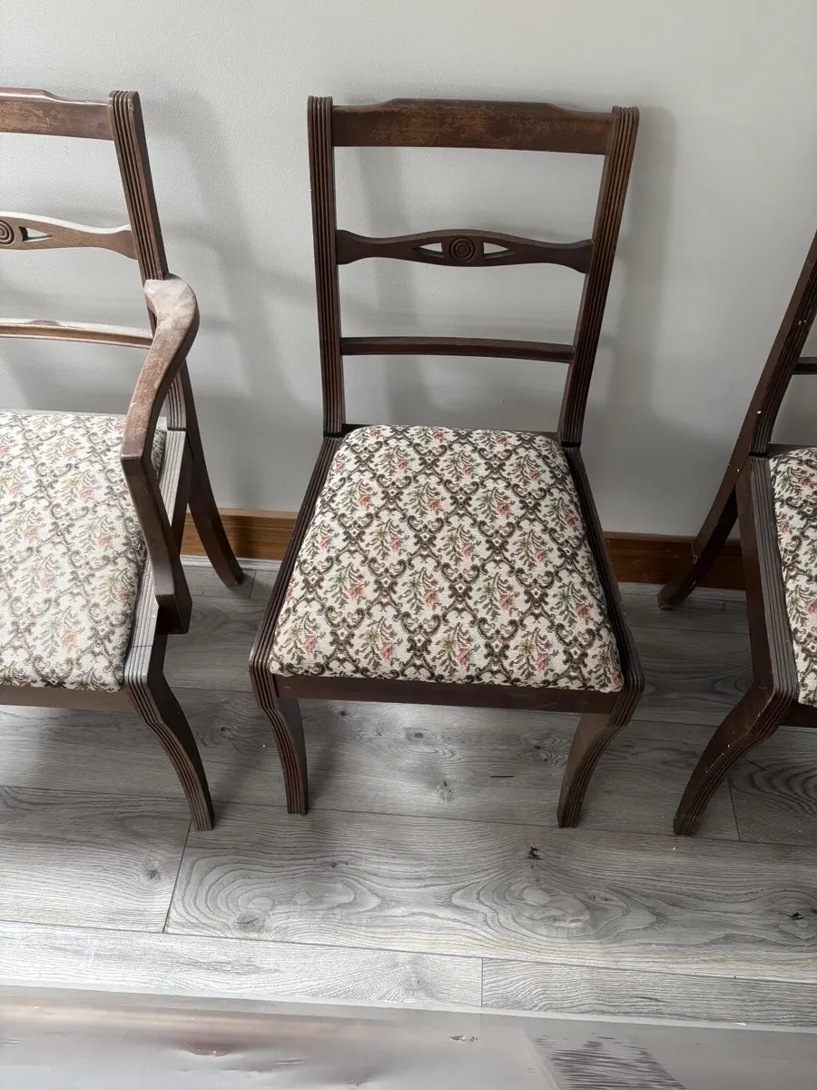 Antique dinner room chairs - Image 2