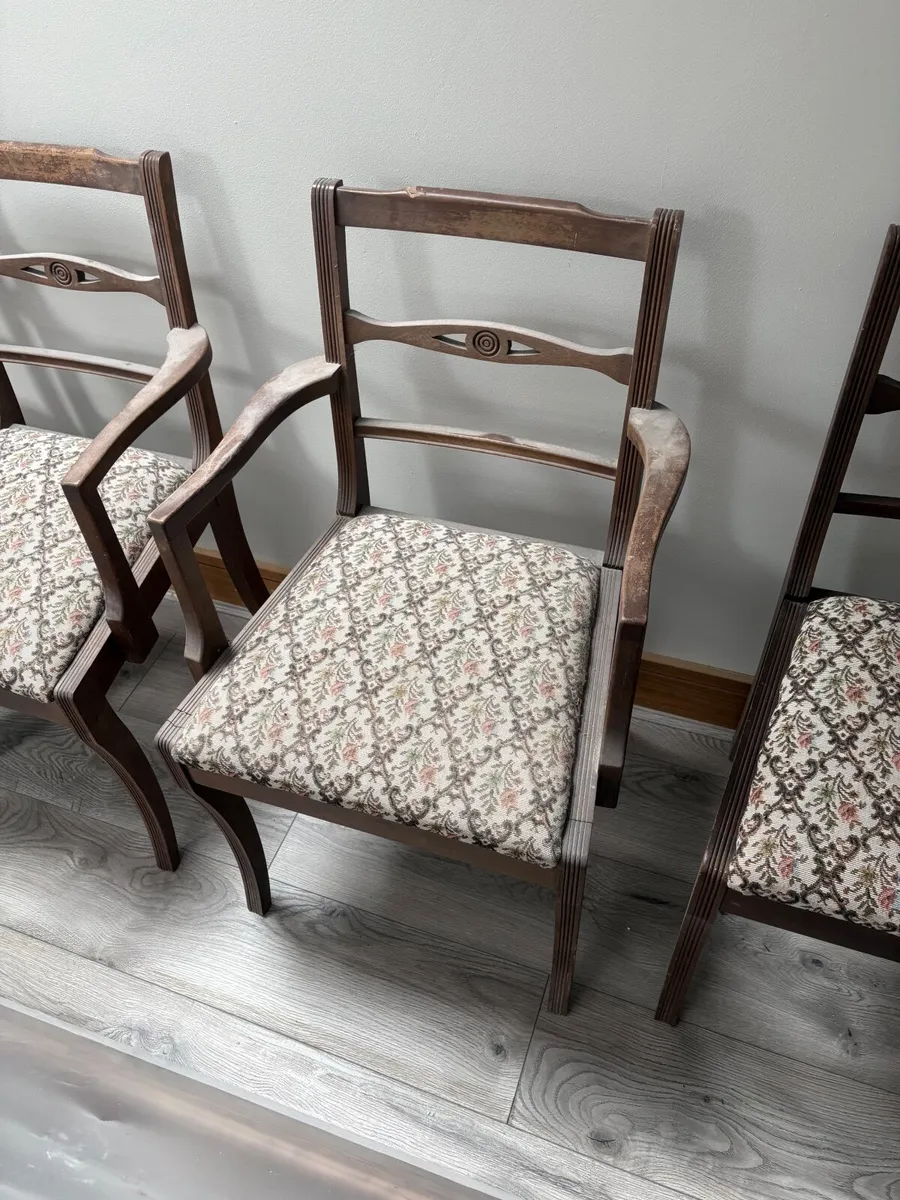 Antique dinner room chairs - Image 3